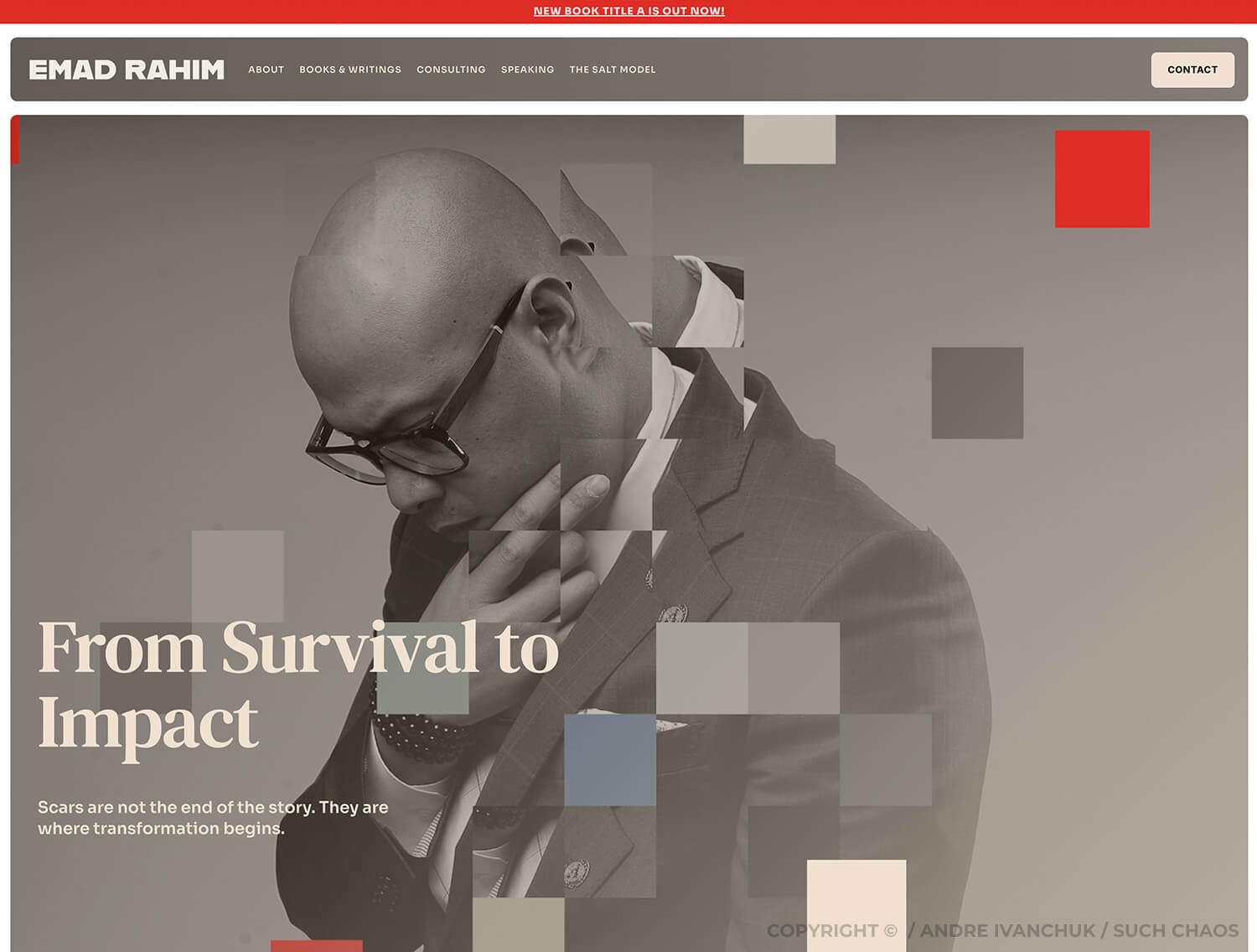 Andre Ivanchuk Such Chaos - Dr. Emad Rahim Author Speaker Personal Branding Positioning Website Design 09