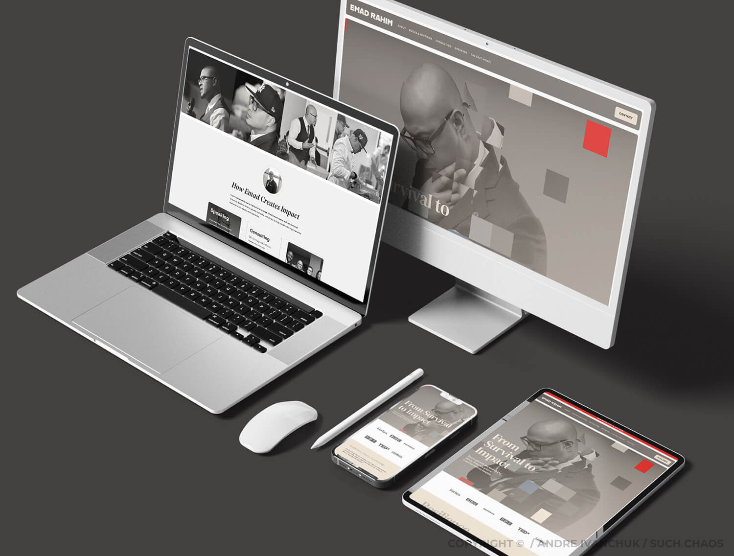 Andre Ivanchuk Such Chaos - Dr. Emad Rahim Author Speaker Personal Branding Positioning Website Design 10